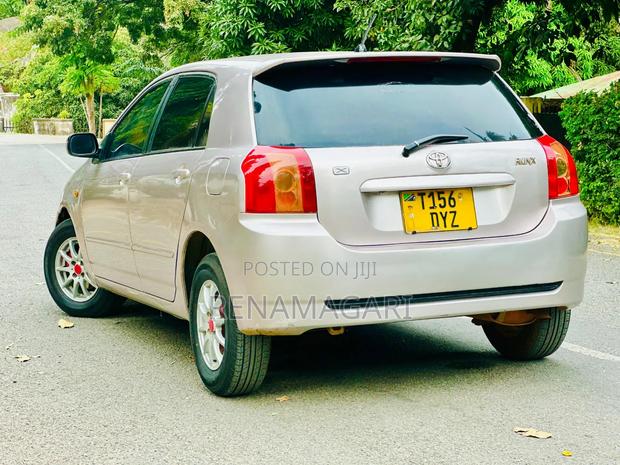 Toyota Corolla RunX 2006 Gold