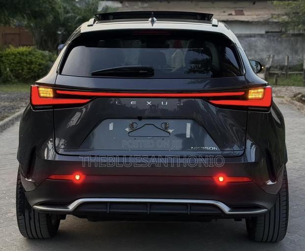 Lexus NX 2024 Gray