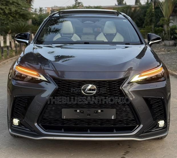 Lexus NX 2024 Gray