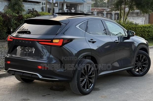 Lexus NX 2024 Gray