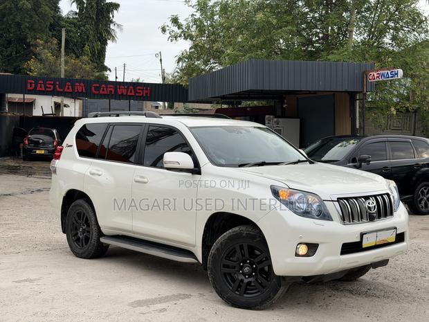 Toyota Land Cruiser Prado 2010 Pearl
