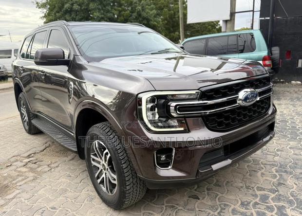 Ford Everest 2023 Gray