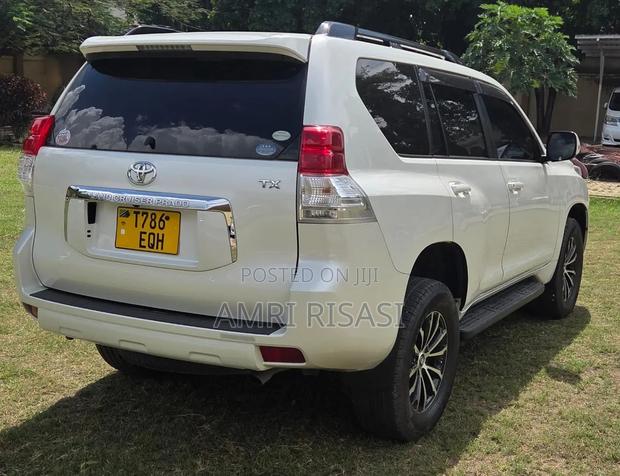 Toyota Land Cruiser Prado 2010 Silver