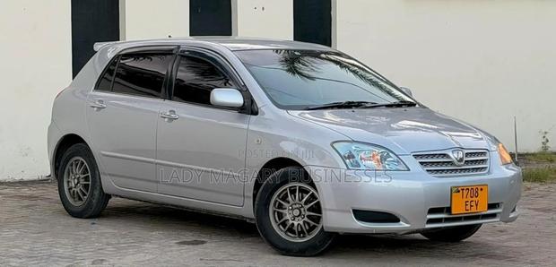 Toyota Allex 2005 Silver