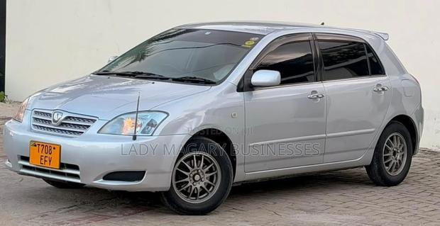 Toyota Allex 2005 Silver