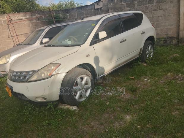 Nissan Murano 2005 Pearl