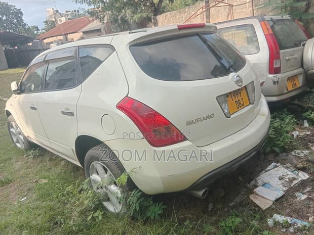 Nissan Murano 2005 Pearl