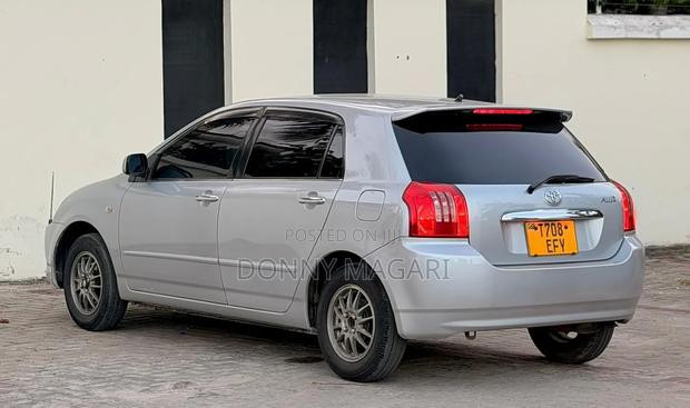 Toyota Allex 2005 Silver