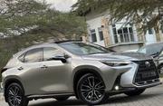 Lexus NX 2022 Gray for sale