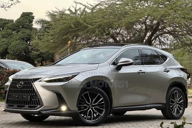 Lexus NX 2022 Gray