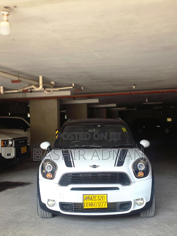 Mini Countryman 2013 White