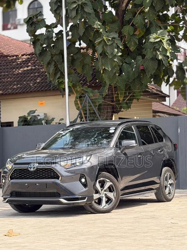 New Toyota RAV4 2025 Gray