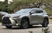 Lexus NX 2022 Gray for sale