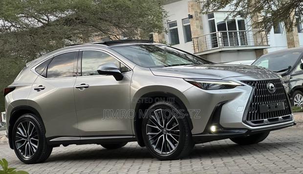 Lexus NX 2022 Gray
