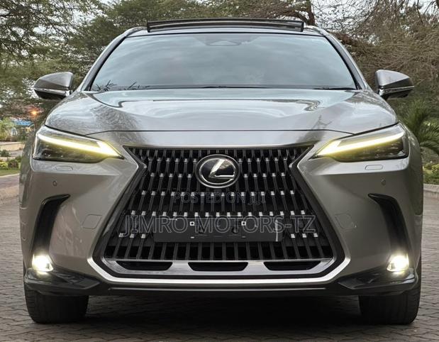 Lexus NX 2022 Gray
