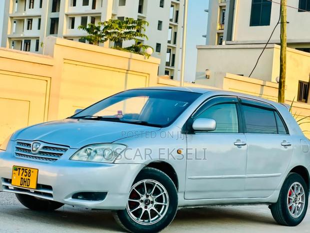 Toyota Allex 2005 Silver