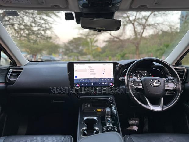 Lexus NX 2022 Gray