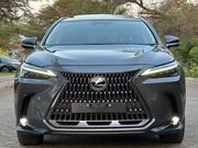 Lexus NX 2022 Gray for sale