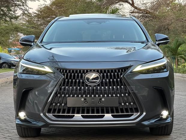 Lexus NX 2022 Gray