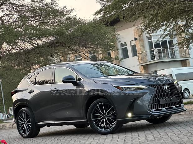 Lexus NX 2022 Gray