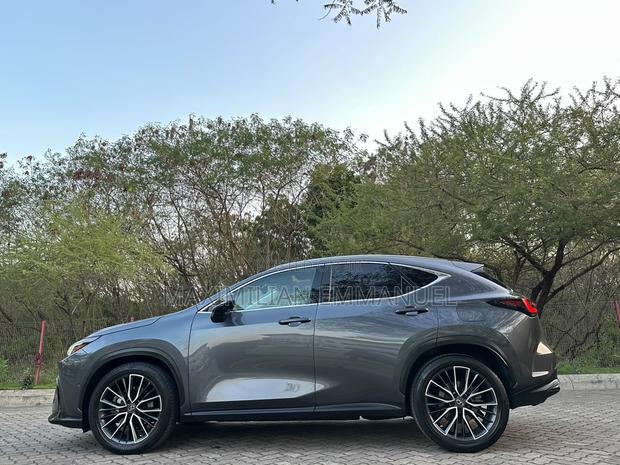 Lexus NX 2022 Gray