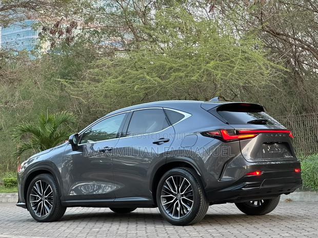 Lexus NX 2022 Gray