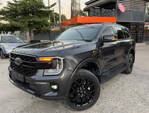 Ford Everest 2024 Gray