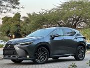 Lexus NX 2022 for sale