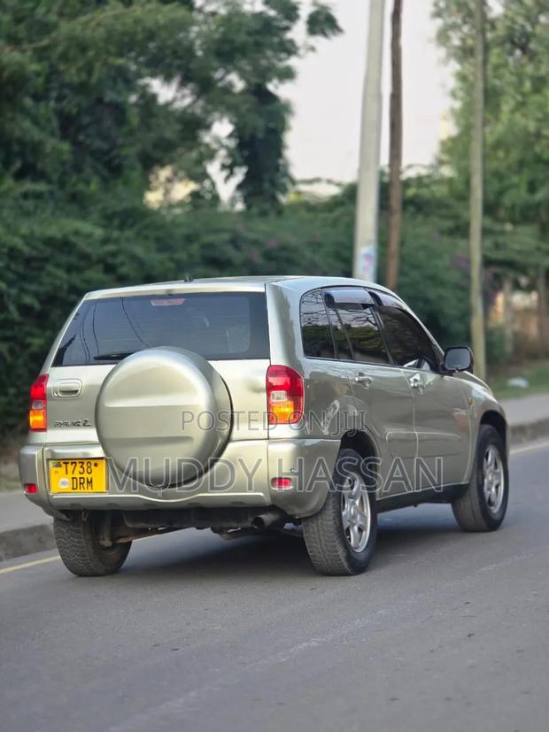 Toyota RAV4 2004 Gold