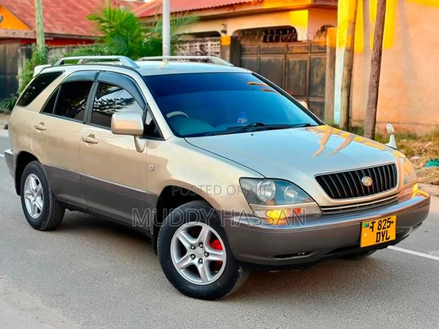 Toyota Harrier 2003 Gold