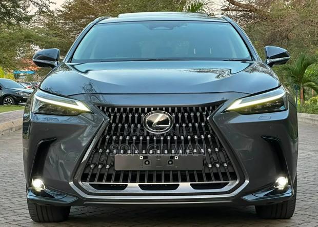 Lexus NX 2022 Gray