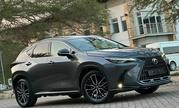 Lexus NX 2022 Gray for sale