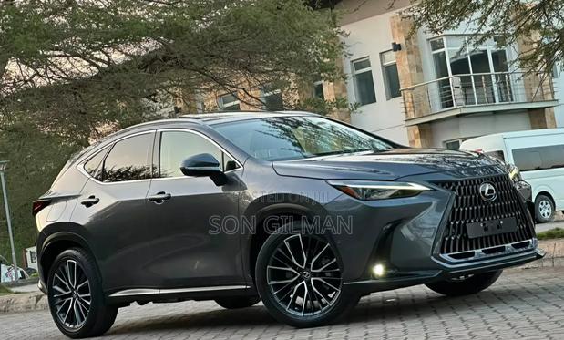 Lexus NX 2022 Gray