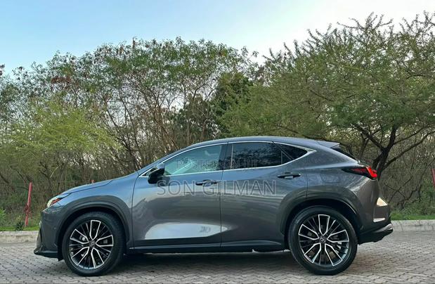Lexus NX 2022 Gray