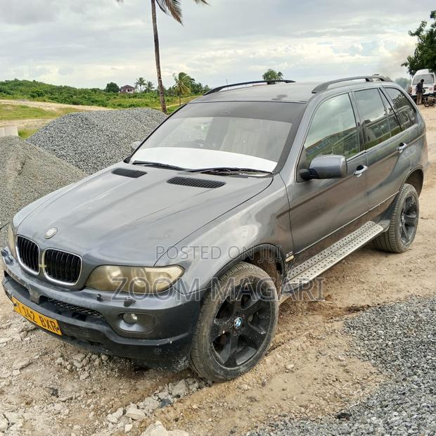 BMW X5 2008 Gray