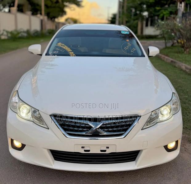 Toyota Mark X 2010 White