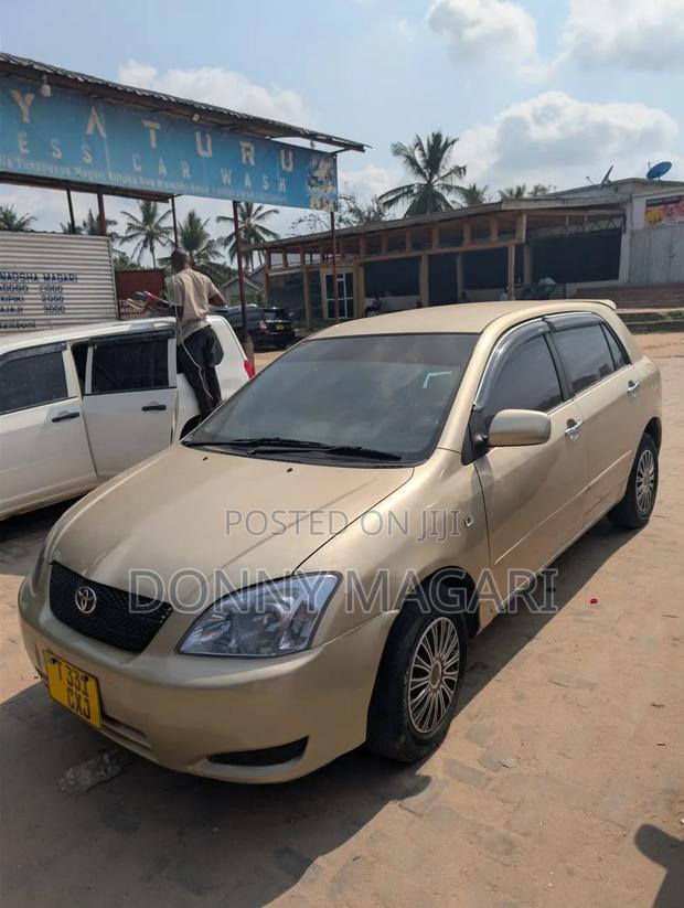 Toyota Corolla RunX 2007 Gold
