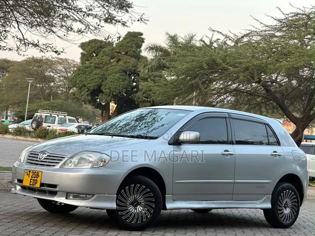 Toyota Allex 2003 Silver