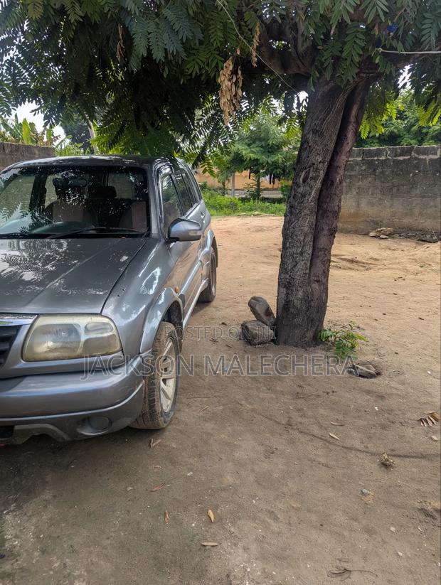 Suzuki Vitara 2007 Gray