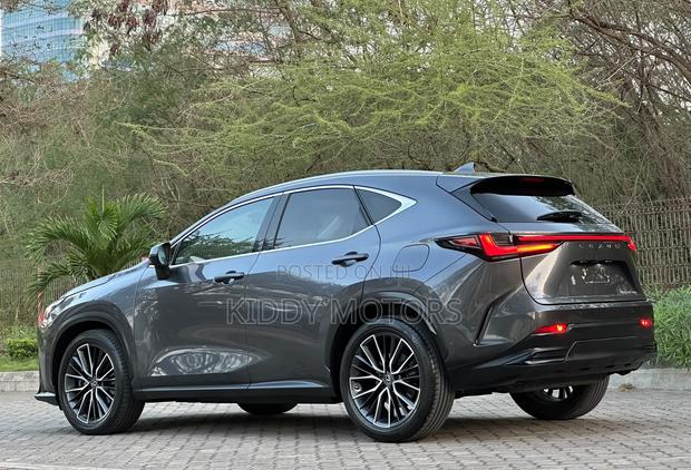 Lexus NX 2022 Gray