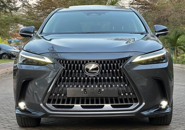 Lexus NX 2022 Gray