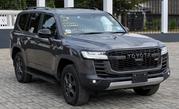 Toyota Land Cruiser LC300 2023 Gray for sale