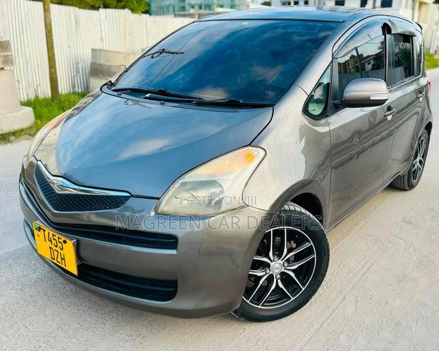 Toyota Ractis 2005 Gray