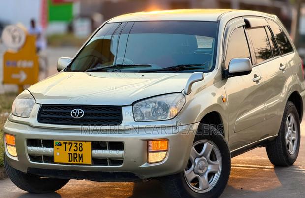 Toyota RAV4 2005 Gold