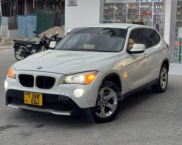 BMW X1 2012 Pearl