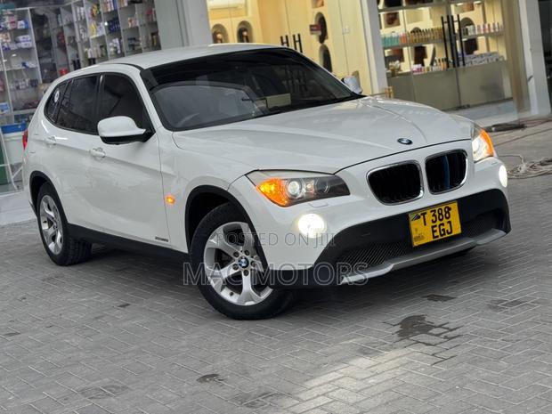 BMW X1 2012 Pearl
