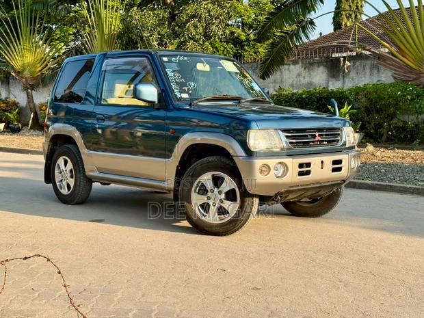 Mitsubishi Pajero 2005 Blue