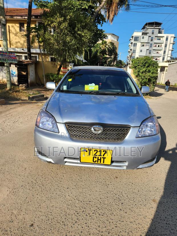 Toyota Allex 2004 Silver