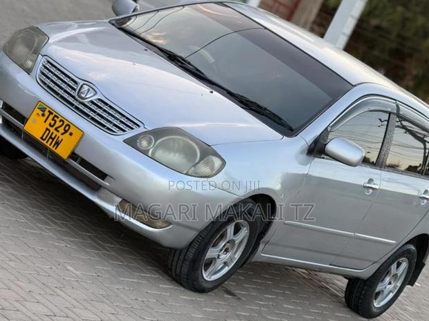 Toyota Allex 2005 Silver