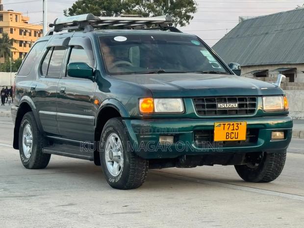 Isuzu Amigo 1999 Blue